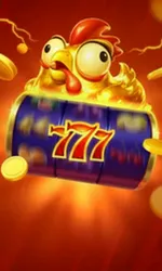 Chicken Coin